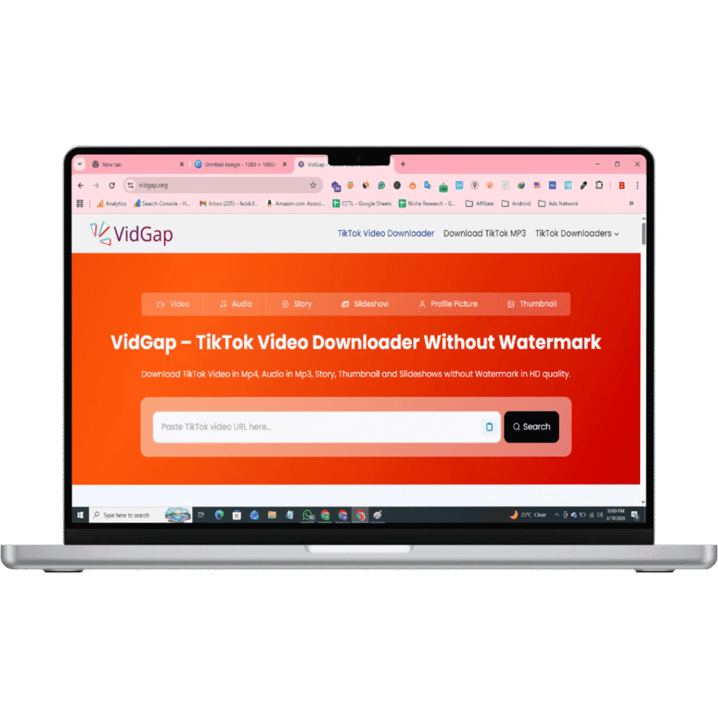 VidGap Desktop